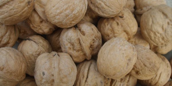 unpackaged Walnut